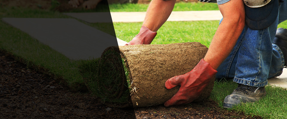 Struthers Landscapers